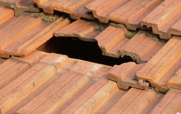 roof repair The Burf, Worcestershire